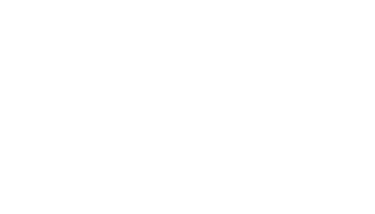 prombud stroy logo whiteйй